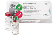 Nobivac vaccine for feline herpes, calicivirus and panleucopaenia