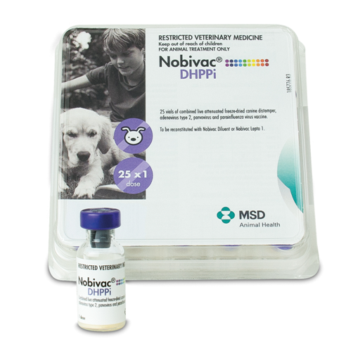 nobivac puppy dp vaccine