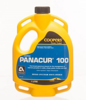 Coopers Panacur 100 oral anthelminitic worm treatment