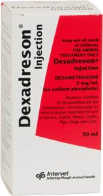 Dexadreson 50ml injectable corticosteriod therapy pack