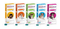 Bravecto spot treatment for dogs against ticks and fleas, 4 pack