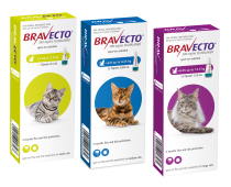 Bravecto spot treament for cats against ticks and flea, 3 packs