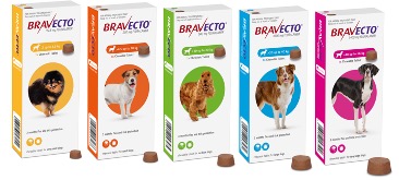 Bravecto dog chew protection against ticks and fleas, all sizes