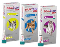 Bravecto plus flea and trick treatment for cats range