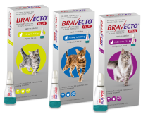 Bravecto plus flea and trick treatment for cats range