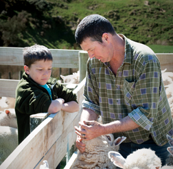 visit the sheepvax.co.nz website