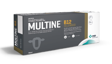 Multine vaccine for sheep and cattle with B12