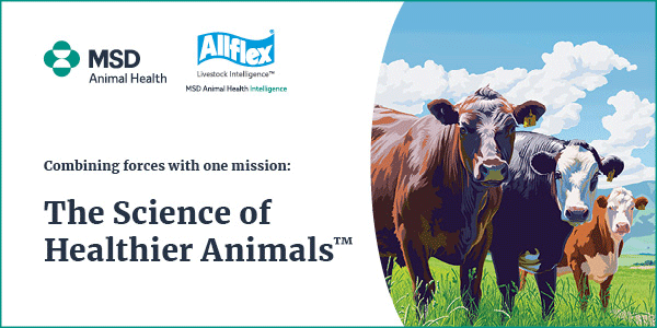 MSD Animal Health & Allflex - MSD Animal Health New Zealand